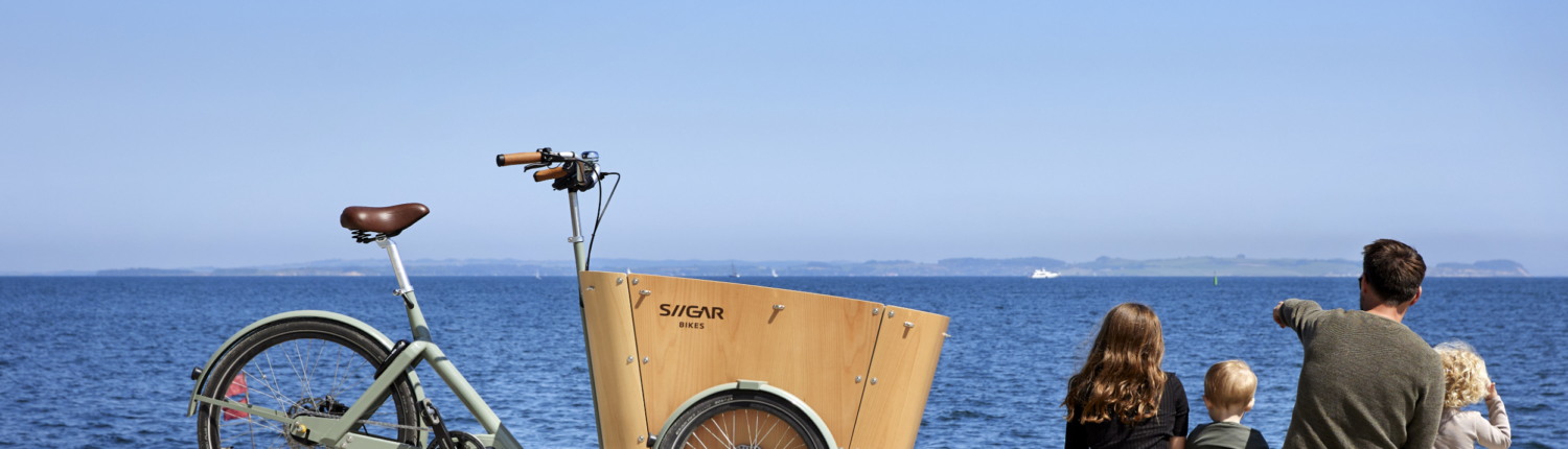 Siigar bikes siigar bike ved strandkanten med sol og gode oplevelser